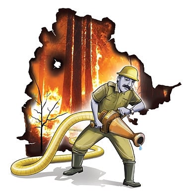 forest fire incidents have spiked in the last one week in Odisha placing the state at number 4 in terms of maximum wildfire points in the country. 