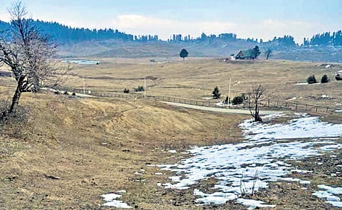 The near snowless winter in the Valley has led to a 30-50 per cent drop in tourist footfall. 