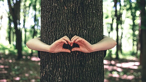 T'Puram corporation bans burning of waste near roadside trees