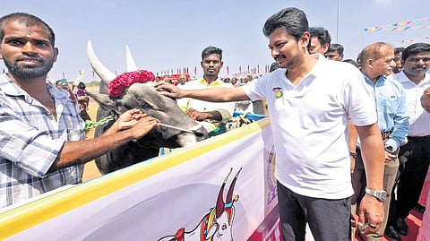 Deputy CM Udhayanidhi Stalin after laying the foundation stone for jallikattu arena at Chinna Suriyur near Tiruchy on Wednesday
