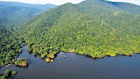 Kanakagiri forest area