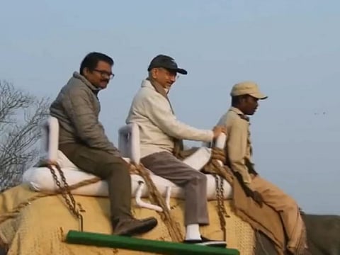 EAM S Jaishankar and Ambassadors of 45 countries take Elephant safari in Kaziranga National Park.