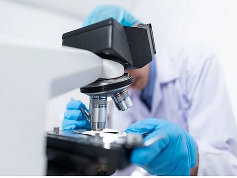 Union Health Minister J P Nadda appreciated the tuberculosis prevention activities being carried out by Kerala during the meeting with Health Minister Veena George on Tuesday. 