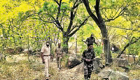 Several monkeys were found to be very tired. Officials suspect that it could be due to a viral infection.