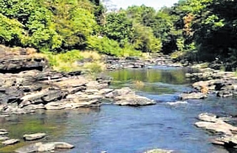 A stretch of Mahadayi river in Goa