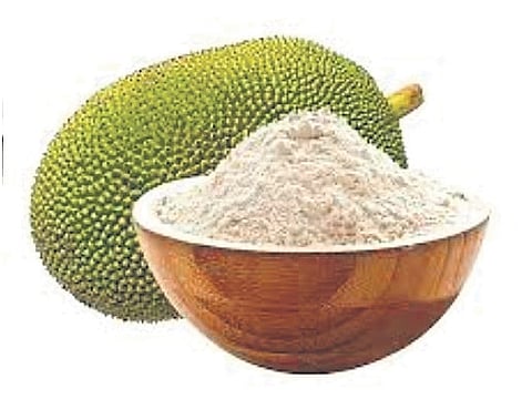 No govt nudge, jackfruit flour out of nutri plans
