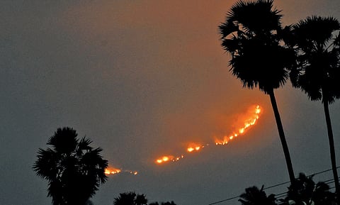 A fire that broke out in Devarayapuram of Boluvampatti forest range in Coimbatore recently.