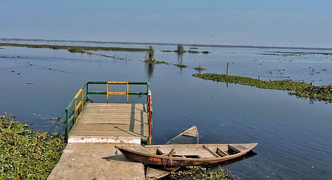 The Harike Wetland in Ferozepur district, one of Punjab's largest protected wetlands, faces biodiversity loss as shifting weather patterns disrupt its ecosystem.
