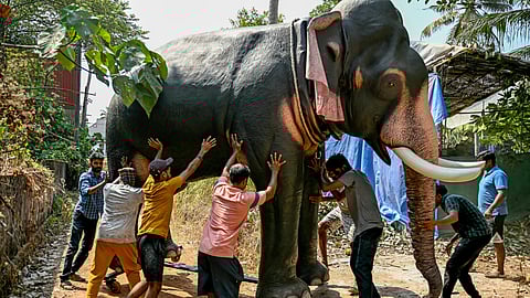 In this picture taken on February 25, 2025, workers push a finished model of a robotic elephant outside a workshop in Thrissur, in India's Kerala state.