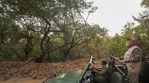 PM Narendra Modi on a Safari in Gir.