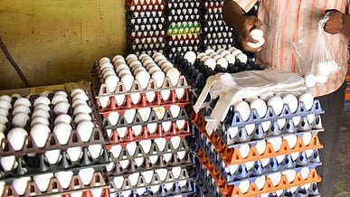 Representative image of eggs.