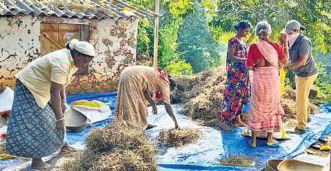 Medicinal plants collected by tribal communities being segregated at the processing unit at Mukkali. These will be later transported to ayurvedic medicine manufacturing units