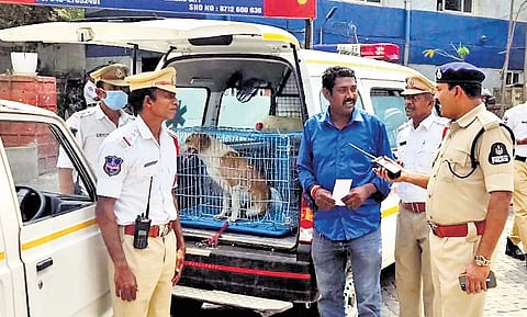 Traffic cops book the driver of an ambulance for misusing its siren. Hyderabad Traffic Police have booked 1,883 for wrong-side driving and 289 violators for irregular number plates since the start of the special drive on Monday 