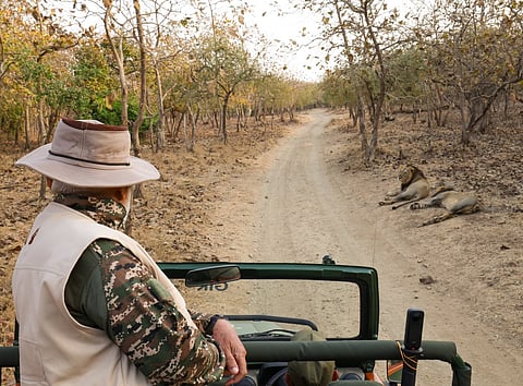 PM Modi on a Safari in Gir