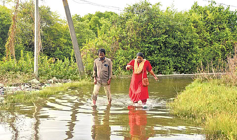 Edakochi residents wade through a flooded road caused by the rise in water level of the Vembanad lake