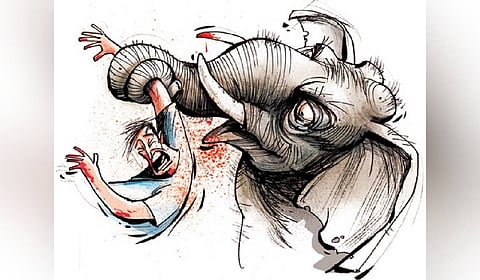 The incident happened when Raman was walking alone to the Aanikkal Mariamman Temple through the forest for an annual festival. 