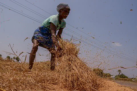 Image used for representative purposes only.