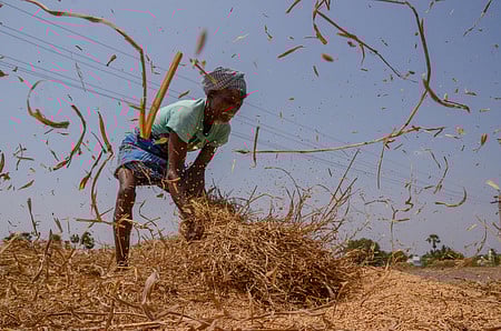 Representative Image.