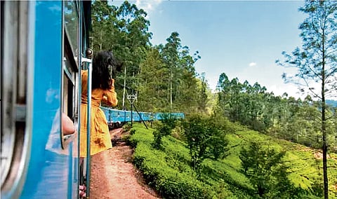 Silence of the lands