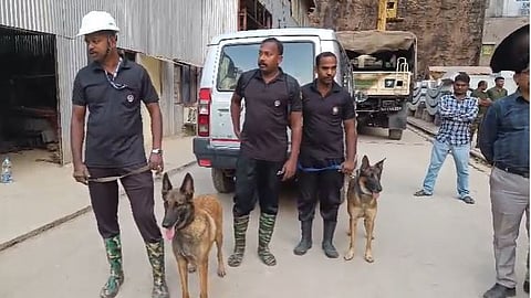 The team (including dogs and handlers) ready to go inside the tunnel on Friday morning.