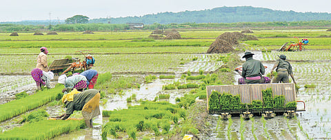 Integrated soil and water management, proper waste management, efficient water utilisation and integrated nutrient management will be implemented in collaboration with sugar factories in farmland in Belagavi, Bagalkot, Vijayapura.
