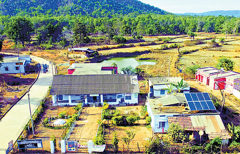 Freedom from the dark