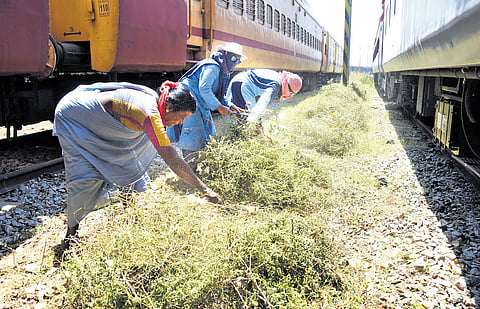 The womens were engaged in greasing, clearing debris, and inspecting the track condition