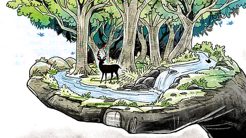 Representational image.