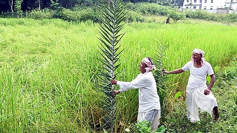 The Tamil NILAM portal, developed by NIC, digitises land records, including ‘A’-Register and Chitta, for easy online access and rural management.