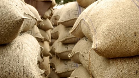 Over 2,000 paddy bags damaged in rain at Villupuram DPC in Tamil Nadu 