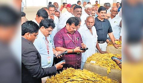 Tobacco Board ED A Sridhar Babu, officials, and traders attend the first day of auctions in Ongole