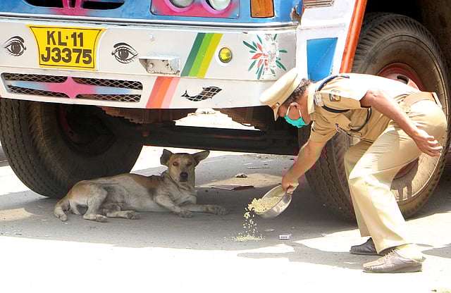A police officer feeds a stray dog during lockdown in Kozhikode