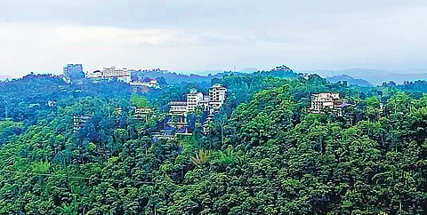 Kunjithanni is perhaps the village in the state where the most number of resorts and homestays have come up in the past 10 years