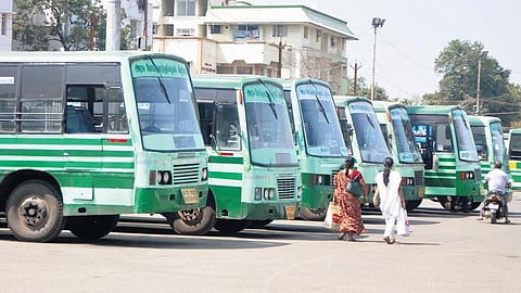 Tamil Nadu State Transport Corporation (TNSTC) buses image used for representative purpose.