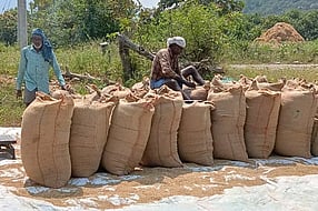 TNCSC delays Rs 600 crore paddy procurement  payment to favour private entity: Farmers