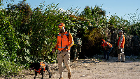 A member of the civil defence canine unit searches for Sudiksha Konanki, a university student from the US who disappeared on a beach in Punta Cana, Dominican Republic, Monday, March. 10, 2025. 