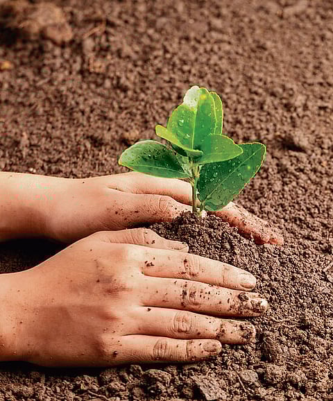 Global Adaptation Goal: The risks and realities of transformational adaptation