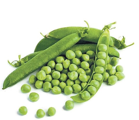 DRI has also dug up evidence which indicates that Arun and Sathishkumar allegedly cleared many imported goods of “dubious nature”, sources said. 