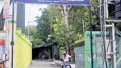 Activists have raised concern over disappearance of dogs sent to the Kannammapet pound .