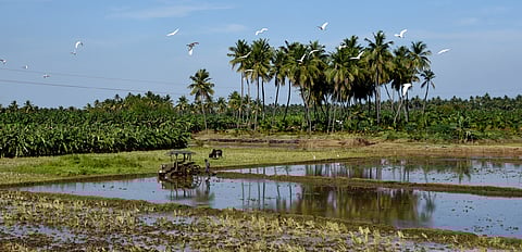 Image of a field used for representational purposes only. 