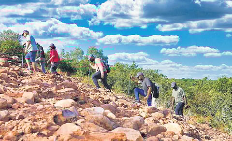 The trekking season, which took a hiatus from February 15 to April 15 last year due to the fire season as per Tamil Nadu trekking rules, later saw robust participation. 