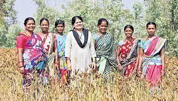 Women farmers of Doraguda panchayat under Koraput’s Boipariguda block