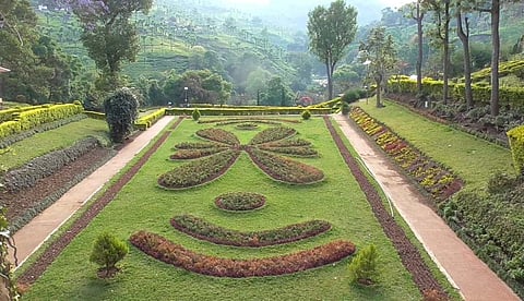 Katteri Park near Coonoor in Nilgiris District. 