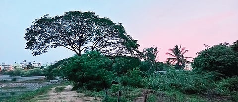 Bengaluru Metro Phase-3 depot land parcel in legal tangle