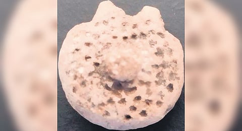 Archaeologists unearthed tin, iron and a decorated medal made of terracotta.