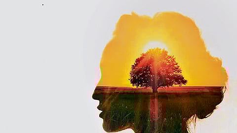 The ultimate self inquiry