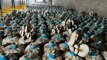 Image used for representational purposes.