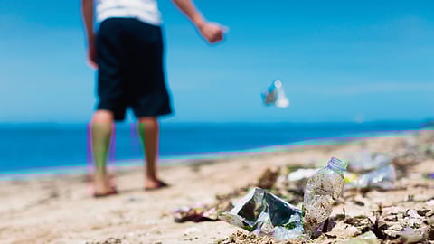 The ugly Indian tourist