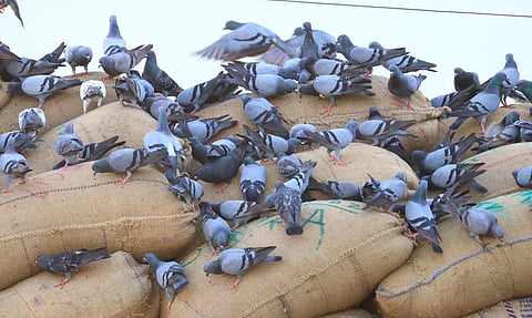 Image used for representational purposes.