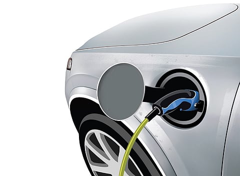 Initially, the company will focus on the domestic market before expanding its exports globally.